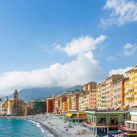 Stunning In Recco